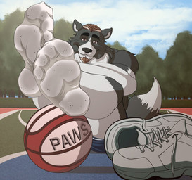 anthro ball basketball basketball_(ball) black_body black_fur blue_clothing bottomwear brown_eyes brown_hair clothed clothing dirty dirty_clothing dirty_socks facial_hair feet foot_fetish foot_focus footwear fur grey_body hair humanoid_feet looking_at_viewer male multicolored_body outside plant plantigrade shoes shorts sitting smelly smile sneakers socks soles solo tail toes topless tree white_body white_clothing white_footwear white_fur wrinkles pinwin border_collie canid canine canis collie domestic_dog herding_dog mammal pastoral_dog sheepdog hi_res