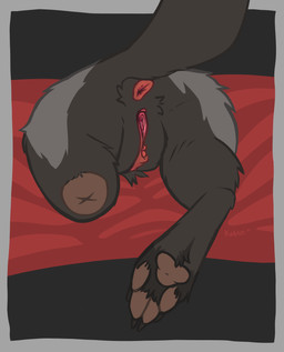 amputee anthro anus butt claws disability feet female genitals lying missing_leg nude pawpads paws pillow presenting presenting_hindquarters presenting_vulva raised_tail rear_view solo tail vulva katlin canid canine fox mammal absurd_res hi_res