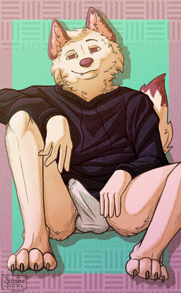 anthro biped black_clothing black_shirt black_topwear bodily_fluids bottomwear bulge claws closed_smile clothed clothing dipstick_tail erection fur genital_fluids hair happy head_tuft leaking leaking_precum looking_at_viewer male markings mouth_closed pantsless partially_clothed pattern_background paws precum red_ears red_nose red_tail_tip shirt simple_background sitting sitting_on_ground smile smirk snaggle_tooth solo sweatshirt tail tail_markings topwear tuft underwear easyvock canid canine canis mammal wolf 2020 cel_shading digital_drawing_(artwork) digital_media_(artwork) full-length_portrait hi_res portrait shaded