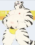 2020 anthro belly blush bulge clothing eyewear felid fur glasses humanoid_hands male mammal merfiller moobs nipples overweight overweight_anthro overweight_male pantherine solo tiger underwear white_body white_fur