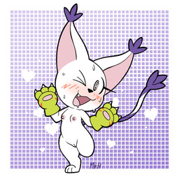 anthro blush bodily_fluids breasts claws clothing cute_fangs dipstick_tail eyelashes fangs female female_anthro fur genitals gloves handwear inner_ear_fluff markings nervous nervous_smile nipples nude nude_anthro nude_female on_one_leg one_eye_closed open_mouth pink_inner_ear pink_nipples purple_inner_ear_fluff purple_tail_tip small_breasts smile solo spiral spiral_eyes standing sweat tail tail_markings teeth tuft white_body white_ears white_fur mr_harinezumi bandai_namco digimon bianc_(el_senor_erizo) digimon_(species) felid gatomon mammal 1:1 full-length_portrait hi_res portrait