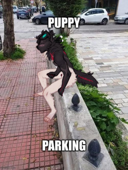 animal_genitalia anthro blush bodily_fluids fur genital_fluids genitals leaking male nude plug plug_insertion precum public sheath simple_background solo tail text vaalravn canid canine canis domestic_dog mammal digital_media_(artwork) draw_over meme