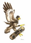 ambiguous_gender avian avian_feet beak bird brown_body brown_feathers feathers feet feral hi_res open_beak open_mouth sabtastic simple_background skateboard solo tail tail_feathers vehicle white_background white_body white_feathers yellow_beak yellow_feet