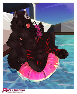 animal_genitalia anthro balls beverage big_balls black_body black_fur fully_sheathed fur genitals male nipples nude pool_float red_stripes scrotum_flap sheath solo stripes swimming_pool tongue tongue_out water white_body white_fur rotten_paws azki_(azki_wolf) canid canine canis mammal wolf hi_res