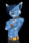 anthro belt biped blue_body blue_fur blue_hair bottomwear buckle chest_tuft clothed clothing collar crossed_arms fur grin hair male mascot_contest pants simple_background smile smirk smug solo standing teeth topless transparent_background tuft wristband yellow_eyes popcornkitten e621 canid canine canis domestic_cat felid feline felis mammal wolf 2:3 alpha_channel hi_res signature