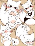 balls cat_lingerie clothing feral genitals lingerie lingerie_on_feral male solo text ronchainu shikaruneko_(series) shikaruneko domestic_cat felid feline felis mammal hi_res japanese_text translation_request