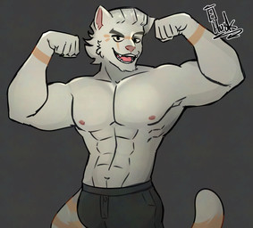abs anthro areola arms_bent biceps bottomwear clothed clothing fangs flexing flexing_bicep flexing_both_biceps looking_at_viewer male markings muscular muscular_anthro muscular_male pecs shorts smile solo stocky striped_body striped_markings stripes tail teeth topless trapezius tuft whiskers elhusk23 finally_faded kunaq_(finally_faded) andean_mountain_cat felid feline felis leopardus mammal absurd_res hi_res
