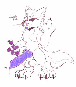 anthro balls big_balls big_penis claws erection eyewear fangs fur genitals gesture hand_gesture huge_balls huge_penis male middle_finger pawpads penis purple_penis solo sunglasses teeth tongue vein veiny_penis white_body white_fur darkolynx canid canine canis mammal wolf absurd_res digital_media_(artwork) hi_res sketch