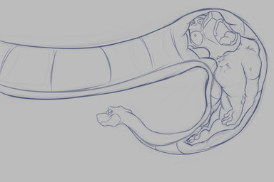 anthro bodily_fluids calling_for_help crying damsel_in_distress distressed duo feral guy_in_distress imminent_death male male/male male_pred male_prey oral_vore peril tears vore young young_male young_prey zubuzz disney the_lion_king joka simba_(the_lion_king) anaconda boa_(snake) boa_constrictor boinae felid feline lion mammal pantherine python reptile scalie snake 3:2 absurd_res hi_res