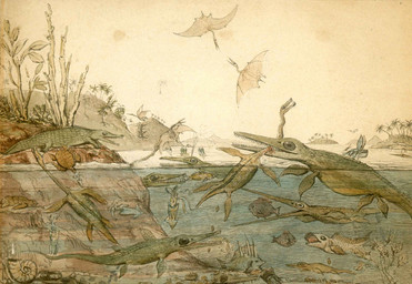 ambiguous_gender bite blood bodily_fluids brown_shell cephalopod_shell feces feral fin flying green_body green_scales green_tail group huge_eyes large_group leaf long_neck membrane_(anatomy) membranous_wings mollusk_shell no_sclera open_mouth outside partially_submerged plant pooping quadruped scales sharp_teeth shell side_view sky standing swimming tail teeth tentacles tree violence wings henry_de_la_beche public_domain ammonite aquatic cephalopod crinoid crocodilian echinoderm fish ichthyosaur mollusk plesiosaur prehistoric_species pterosaur reptile scalie species_request turtle 1830 19th_century ancient_art hi_res painting_(artwork) watercolor_(artwork)