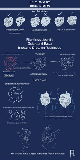 anthro big_breasts breasts duo female food_in_stomach guts how-to internal intestines large_intestine liver multiple_stomachs organs small_intestines stomach text vore weight_gain wide_hips flightlesslizard akai_(flightlesslizard) kendra_(flightlesslizard) aquatic deer fish mammal shark 1:2 absurd_res english_text hi_res