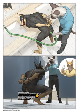 anthro bathroom black_body black_fur brown_body brown_fur butt captured cellphone clothed clothed/nude clothing cuff_(restraint) degradation duo electronics enema forced forced_enema forced_exposure fur gag gagged gesture hand_gesture handcuffed handcuffs humiliation implied_scat kemono male male/male metal_cuffs multicolored_body multicolored_fur nude nude_anthro nude_male phone pointy_ears pooping restraints scut_tail short_tail smartphone squat_toilet tail tan_body tan_fur text thumbs_up toilet torture two_tone_body two_tone_fur white_body white_fur pngx canid canine canis dobermann domestic_cat domestic_dog felid feline felis mammal pinscher siamese_cat absurd_res censored comic english_text hi_res url
