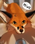 ambiguous_gender black_nose feral fur orange_body orange_fur yellow_eyes flashw canid canine fox mammal red_fox true_fox 2022 digital_drawing_(artwork) digital_media_(artwork)