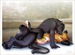 2012 anthro black_body black_fur bodily_fluids breasts brown_body brown_fur cum cum_inside duo equid equine erection female female_penetrated from_front_position fur genital_fluids genitals hooves horse legs_up love lying male male/female male_penetrating male_penetrating_female mammal missionary_position nipples nude on_back penetration penis rarakie sex tail
