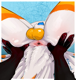 anal anthro anus backsack balls butt butt_focus duo feathers fur genitals hand_on_butt lying male male/male on_back penis spread_legs spreading tail white_body white_fur yellow_body yellow_fur vikas suffer_(phantom76) vikas_avali avali hi_res
