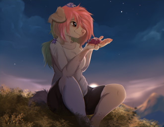 anthro blue_hair brown_body brown_fur clothed clothing cloud female fur grass hair happy looking_at_another looking_pleasured mountain pawpads paws pink_hair pink_nose plant red_eyes sky smile solo star sun sunset tail white_body white_fur shyryp polya arthropod canid canine canis domestic_dog herding_dog insect mammal pastoral_dog welsh_corgi absurd_res digital_media_(artwork) hi_res
