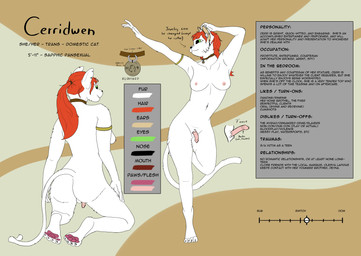 anthro bard breasts cerridwen_silksong(otterwolfashe) choker courtesan fur genitals green_eyes gynomorph hair intersex jewelry necklace nipples pawpads penis prostitution red_hair ttrpg white_body white_fur otterwolfashe domestic_cat felid feline felis mammal absurd_res hi_res model_sheet story story_in_description