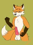 animal_genitalia animal_penis anthro balls canine_genitalia canine_penis claws erection eyewear genitals glasses knot male nude penis solo dirkstridoritos canid canine fox mammal red_fox true_fox