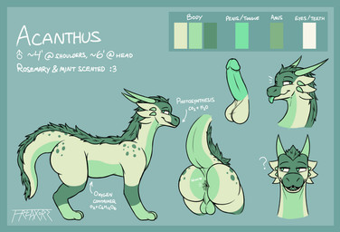 anal_wink anus backsack balls big_butt blep butt feral freckled_butt freckles genitals green_body green_hair hair horn male mane penis slightly_chubby smile smirk solo tongue tongue_out freaxorz mythology acanthus_(freaxorz) dragon mythological_creature mythological_scalie scalie hi_res model_sheet