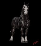 ambiguous_gender black_body black_hair black_hooves black_tail feral hair hooves leg_markings looking_at_viewer markings mouth_closed muscular muscular_ambiguous muscular_feral quadruped red_eyes simple_background socks_(marking) solo tail three-quarter_view transparent_background white_body laser_(artist) equid equine horse mammal alpha_channel full-length_portrait portrait signature