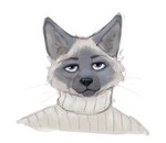 anthro blue_eyes clothing deadpan fur inner_ear_fluff male multicolored_body multicolored_fur simple_background solo stare sweater topwear tuft turtleneck two_tone_body two_tone_fur whiskers banoncat banoncat_(character) domestic_cat felid feline felis mammal siamese 2022 bust_portrait portrait