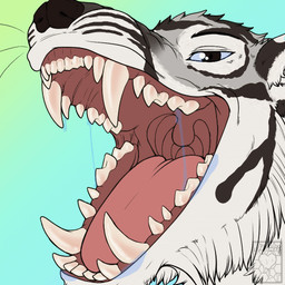 anthro black_body black_fur black_nose blue_eyes bodily_fluids dripping fur looking_at_viewer male mouth_shot open_mouth pink_tongue saliva saliva_drip saliva_on_tongue saliva_string simple_background solo teeth throat tongue uvula whiskers white_body white_fur huniiheart_(artist) torakami_(big-bang-baneko) canid canine canis felid hybrid mammal pantherine tiger wolf 1:1 2023 2d_animation animated animated_gif colored digital_drawing_(artwork) digital_media_(artwork) headshot_portrait icon loop low_res portrait short_playtime signature