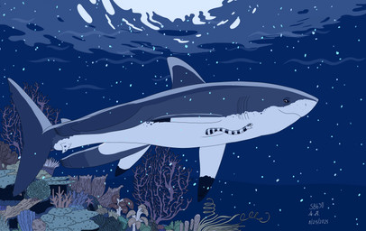 banded_sea_krait black_sclera branch_coral bubble_coral cave claws coral_reef countershading elkhorn_coral fangs female fire_coral kelp larger_female light moonlight night plate_coral sea sea_fan_coral sea_firefly seaweed semi-anthro size_difference smaller_female soft_coral teeth water whip_coral seabreeze629 anthozoan asterozoan brain_coral cartilaginous_fish cnidarian coral echinoderm elapid_(snake) fish great_white_shark mackerel_shark marine reptile scalie sea_anemone sea_krait sea_snake sea_sponge sea_squirt shark snake starfish white_shark absurd_res hi_res