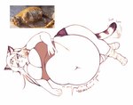 belly big_belly big_breasts bottomwear breasts cleavage clothed clothing female huge_belly huge_breasts lying markings motion_lines on_side overweight overweight_female overweight_humanoid rumbling_stomach shirt shorts simple_background solo sound_effects striped_markings striped_tail stripes stuffing tail tail_markings tail_motion tailwag text thick_thighs topwear cakecatboy kiera_(cowszers) animal_humanoid felid felid_humanoid humanoid mammal mammal_humanoid pantherine pantherine_humanoid tiger_humanoid hi_res reference_image