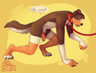 all_fours anthro balls bdsm brown_body brown_fur collar erection fur genitals humanoid_genitalia humanoid_penis leash leashed_collar male male_anthro multicolored_body multicolored_fur nude_anthro nude_male open_mouth orange_body orange_fur penis petplay puppyplay roleplay simple_background solo submissive submissive_anthro submissive_male walkies white_body white_fur yellow_background mrbarx canid canine canis domestic_dog mammal trans_(lore) trans_man_(lore)