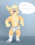 anthro black_nose blonde_hair blush briefs bulge clothed clothing colored_seam_underwear footwear fur grey_eyes grey_floor grey_seam_briefs grey_seam_underwear grey_waistband grey_wall hair male navel open_mouth orange_body orange_fur shadow socks solo speech_bubble tan_body tan_fur teeth_showing topless underwear white_briefs white_clothing white_footwear white_socks white_underwear vir-no-vigoratus avery_(vir-no-vigoratus) canid canine canis domestic_dog herding_dog mammal pastoral_dog welsh_corgi