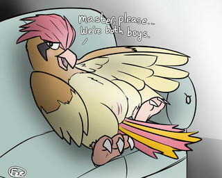 animal_genitalia blush brown_body brown_feathers cloaca dialogue feathers feral furniture genitals looking_at_viewer male nude presenting presenting_cloaca sofa solo talking_feral wings ferrissimulator nintendo pokemon avian bird generation_1_pokemon pidgeotto pokemon_(species) 5:4