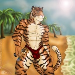 anthro balls_outline beach bulge clothed clothing cloud detailed_bulge genital_outline male muscular muscular_anthro muscular_male outside penis_outline seaside skimpy sky solo speedo stripes swimwear tail topless ajani_(artist) felid mammal pantherine tiger 1:1