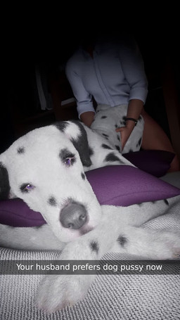 animal_genitalia animal_vulva ass_up balls bed bestiality big_penis bouncing_balls buckold butt canine_genitalia canine_vulva caption_box cheating_husband claws clothed clothing cowgirl_position cucked_by_feral cuckold cuckquean deep_throat duo erection eyelashes fellatio fellatio_from_feral female female_feral female_focus female_on_top female_penetrated feral feral_on_top feral_penetrated from_behind_position from_front_position front_view fur furniture genital_shot genitals hair human_on_feral human_penetrating human_penetrating_female human_penetrating_feral humanoid_genitalia humanoid_penis infidelity interspecies light_body light_skin looking_at_viewer male male/female male_human male_on_feral male_penetrating male_penetrating_female male_penetrating_feral mature_female multi_view on_bottom on_top oral oral_penetration partially_clothed penetration penile penile_penetration penis penis_shot plump_labia purple_eyes realistic realistic_anatomy realistic_feral rear_view recording sex solo_focus sound_effects tail text three-quarter_view toe_claws tongue uncanny_valley vaginal vaginal_penetration vaginal_tugging vulva furjoe0 sound_warning third-party_edit snapchat canid canine canis dalmatian domestic_dog human mammal 2025 3d_(artwork) 3d_animation 9:16 animated digital_media_(artwork) english_text hi_res short_playtime sound sound_edit webm