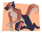 all_fours animal_genitalia animal_penis balls bodily_fluids canine_genitalia canine_penis cum ejaculation erection fur genital_fluids genitals knot machine male milking_machine multicolored_body multicolored_fur nude penile penis penis_milking raised_tail solo tail tongue tongue_out oreobird canid canine mammal