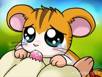 blush bodily_fluids cum cum_in_mouth cum_inside duo female fur genital_fluids glistening glistening_eyes male male/female oral orange_body orange_fur pleading_eyes tears white_body white_fur suephy hamtaro_(series) sandy_(hamtaro) cricetid hamster mammal rodent 4:3