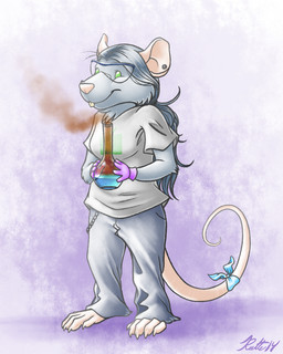 5_toes accessory anthro barefoot blue_body blue_fur blue_hair bow_(feature) bow_accessory bow_ribbon claws ear_piercing eyewear feet female fur furgonomics goggles green_eyes hair paws piercing plantigrade ribbons solo tail tail_accessory tail_bow tail_ribbon toe_claws toes conditional_dnp ratte norve mammal murid murine rat rodent 2014 4:5 digital_media_(artwork)