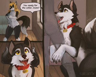 anthro anthro_to_feral bdsm bestiality black_body black_fur black_nose blonde_hair bodily_fluids claws collar collar_only dialogue duo faceless_character faceless_male fellatio female feral feral_penetrated fur furniture genitals hair human_on_feral human_penetrating human_penetrating_feral inside interspecies kneeling looking_up male male/female markings multicolored_body multicolored_fur nude open_mouth oral penetration penile petplay pillow roleplay saliva sex sitting smile speech_bubble tail tail_motion tailwag teeth text tongue tongue_out transformation two_tone_body two_tone_fur white_body white_fur yellow_eyes calcatrix border_collie canid canine canis collie domestic_dog herding_dog human mammal nordic_sled_dog pastoral_dog sheepdog spitz wolf comic digital_media_(artwork) english_text hi_res incest_(lore)