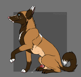 animal_genitalia animal_penis balls black_sheath_slit blue_eyes bodily_fluids brown_body brown_ears brown_fur brown_tail canine_genitalia canine_penis cum cumshot dipstick_ears dipstick_tail ear_markings ejaculation feral fur genital_fluids genitals glistening glistening_eyes half-erect lipsticking looking_up male male_feral markings mouth_closed multicolored_ears orange_body orange_fur penis penis_tip pink_nose red_penis sheath sheath_slit side_view solo tail tail_markings tan_body tan_fur tan_sheath white_ears white_tail kodaac canid canine canis domestic_dog mammal hi_res