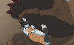 5_fingers 5_toes abs ambiguous_gender anthro anthro_focus anthro_on_anthro arm_markings arm_tuft athletic athletic_anthro athletic_male back_tuft biped black_markings black_pawpads black_spots black_tuft blinking blue_highlights blue_markings bodily_fluids brown_background brown_body brown_claws brown_clothing brown_foot brown_footwear brown_fur brown_pawpads brown_paws brown_sandals brown_tuft cheek_tuft chest_markings chest_tuft claws clothing countershade_face countershade_torso countershading cramped duo ear_tuft extreme_size_difference eyes_closed faceless faceless_ambiguous faceless_anthro faceless_character facial_markings facial_tuft fangs feet finger_claws fingerless_(marking) fingers fluffy fluffy_paws foot_fetish foot_focus foot_lick foot_play foot_rub foot_shot foot_tuft footprint footwear footwear_only fur fur_markings grey_inner_ear grey_inner_ear_fluff hair half-closed_eyes head_markings highlights_(coloring) hindpaw inner_ear_fluff interspecies larger_ambiguous larger_anthro licking looking_at_another looking_pleasured looking_up low-angle_view lying male male/ambiguous male_focus markings massage massaging micro micro_abuse micro_focus mostly_nude multicolored_body multicolored_fur narrowed_eyes nude on_back open_mouth oral paw_shot paw_tuft pawpads paws pecs pink_eyes pink_nose pink_pawpads pink_tongue pinned pinned_by_foot pinned_to_sandal raised_toes red_claws restrained sandals sandals_only shoes short_hair side_view simple_background size_difference size_play smaller_anthro smaller_male snout snout_markings soles solo_focus spots spotted_body spotted_face spotted_fur spread_toes standing stuck sweat tan_body tan_fur teeth three-quarter_view toe_claws toes tongue tongue_out tuft underfoot white_body white_claws white_countershading white_hair white_inner_ear white_inner_ear_fluff white_markings sidmonthebear kapeesh_lynx_(character) ambiguous_species bear felid feline lynx mammal 2022 2d_animation animated colored digital_media_(artwork) flat_colors frame_by_frame loop short_playtime