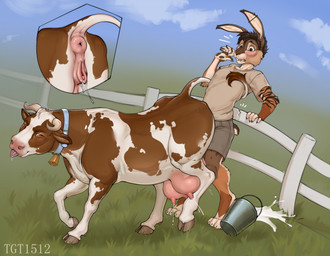 2_horns animal_genitalia animal_vulva anthro anthro_on_feral anus bell bell_collar bestiality blue_collar blush blush_lines bodily_fluids bottomwear bovine_genitalia bovine_teats bovine_udders bovine_vulva brown_body brown_ears brown_eyes brown_fur brown_hair brown_tail buckteeth butt claws close-up closed_smile clothed clothing cloud collar collar_only duo ear_piercing ear_tuft embarrassed eyebrows fangs female fence feral fingers fur genital_fluids genitals grass hair hooves horn lactating male male/female markings milk mouth_closed multicolored_body multicolored_fur nude open_mouth orange_body orange_fur outside piercing pink_anus pink_nose pink_tongue pink_udders pink_vulva plant pushing raised_tail requesting ring_piercing sex_request shirt short_hair shorts sky smile spots spotted_body spotted_fur standing striped_arms striped_body striped_fur striped_markings stripes t-shirt tail tan_clothing tan_hooves tan_horn teats teeth tongue tongue_out topwear tuft udder_lactation udders vulva white_body white_fur white_inner_ear conditional_dnp tgt1512 zeeb_(zeebthehare) bovid bovine cattle hare lagomorph leporid mammal rabbit digital_media_(artwork) hi_res