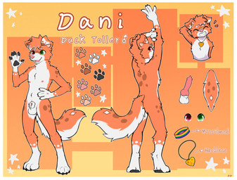 animal_genitalia anthro border canine_genitalia fur genitals heterochromia knot knotted_penis male orange_body orange_fur penis sheath solo white_border ddgio danifur bird_dog canid canine canis domestic_dog hunting_dog mammal nova_scotia_duck_tolling_retriever retriever absurd_res hi_res model_sheet