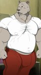 anthro balls_outline bottomwear bulge clothing detailed_bulge genital_outline male muscular muscular_anthro muscular_male penis_outline shirt solo topwear ryanmakana beastars riz_(beastars) bear brown_bear mammal ursine absurd_res hi_res