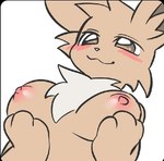 blush breasts brown_body brown_fur brown_hair female fur hair looking_down nipples simple_background smile solo white_background joeri_kunisaki nintendo pokemon eevee generation_1_pokemon pokemon_(species)