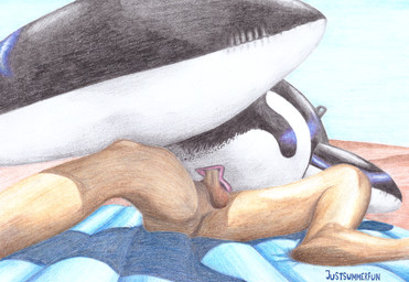 air_mattress anal anal_penetration animal_pool_toy balls beach genitals inflatable inflatable_fetish inflatable_orca inflatable_toy light low-angle_view lying male nude on_back penetrable_sex_toy penetration penis pool_toy pool_toy_handle sex_toy spread_legs spreading strategically_placed_hole summer sunlight justsummerfun liam_(justsummerfun) animal_humanoid cat_humanoid felid felid_humanoid feline feline_humanoid humanoid mammal mammal_humanoid absurd_res crayon_(artwork) hi_res traditional_media_(artwork)