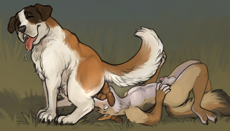 animal_genitalia anthro duo eating_feces feces feces_in_mouth feral genitals lying male male/male on_back penis sheath squatting_pose wide_eyed torakuta canid canine canis coyote domestic_dog mammal molosser mountain_dog saint_bernard hi_res