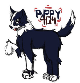 female feral simple_background solo standing white_background pvppy_404 border_collie canid canine canis collie domestic_dog herding_dog mammal pastoral_dog sheepdog low_res