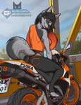 2023 anthro canid canine ear_piercing ear_ring female fox inktiger mammal motorcycle outside piercing red_eyes ring_piercing solo vehicle watermark
