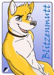 anthro blitzenmutt_(fluke) blue_eyes border canid canine character_name collar countershading fangs fluke fur gradient_background inner_ear_fluff male mammal open_mouth open_smile simple_background smile solo suggestive_pose teeth tuft white_border yellow_body yellow_fur