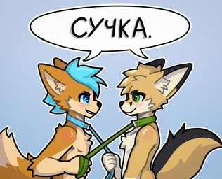 anthro arm_tuft black_nose blue_collar blue_eyes blue_hair cheek_tuft clenched_teeth collar collar_only dialogue duo ear_markings elbow_tuft eyebrows eyelashes facial_tuft fluffy fluffy_tail fur gloves_(marking) hair interrupted_speech leash leash_pull male male/male markings nude orange_body orange_fur simple_background smile smug speech_bubble standing tail tail_markings tan_body tan_fur tan_hair teeth text tuft noxymint avery_(suheugene) canid canine canis domestic_dog fennec_fox fox herding_dog mammal pastoral_dog true_fox welsh_corgi 2026 digital_drawing_(artwork) digital_media_(artwork) hi_res russian_text translated