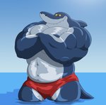 abs anthro blue_body bottomwear clothing crossed_arms flexing looking_down male muscular muscular_anthro muscular_male pecs red_eyes sea shorts smile solo teeth water xxsparcoxx zig_and_sharko sharko fish marine shark hi_res